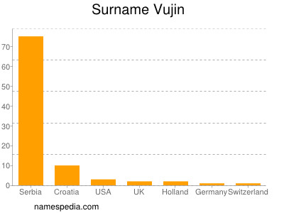 Familiennamen Vujin