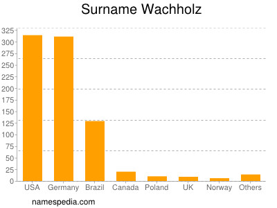 Familiennamen Wachholz