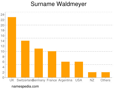 Familiennamen Waldmeyer