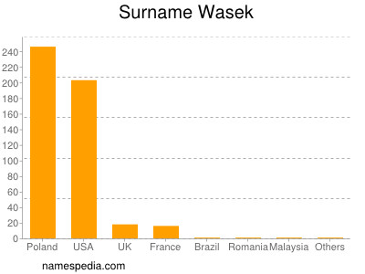 nom Wasek