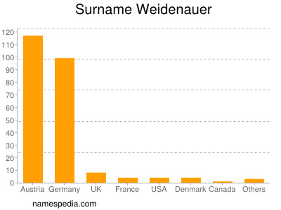 Familiennamen Weidenauer