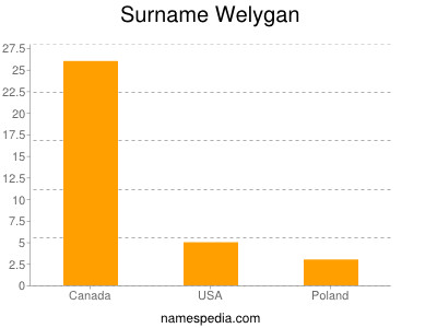 Familiennamen Welygan