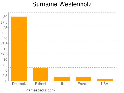 Surname Westenholz
