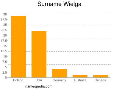 Familiennamen Wielga