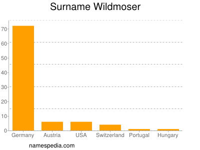 Familiennamen Wildmoser