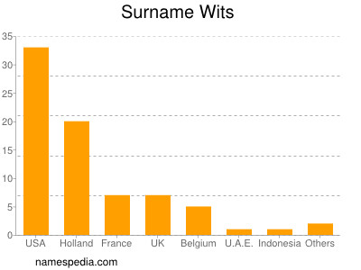 Surname Wits