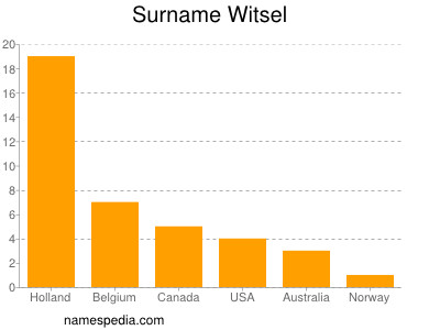 Surname Witsel