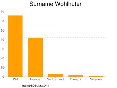 Familiennamen Wohlhuter