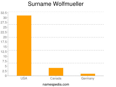 Familiennamen Wolfmueller