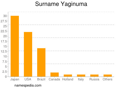 Familiennamen Yaginuma