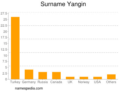 Surname Yangin