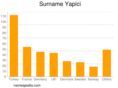 Familiennamen Yapici