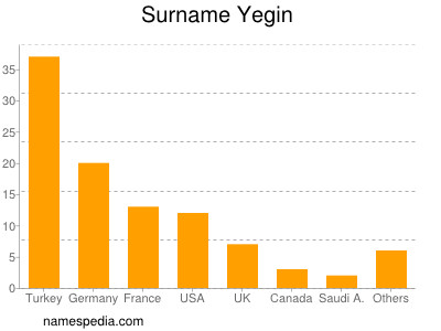 Surname Yegin