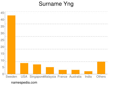 Surname Yng