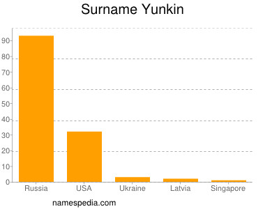 Familiennamen Yunkin