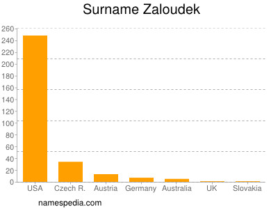 Familiennamen Zaloudek