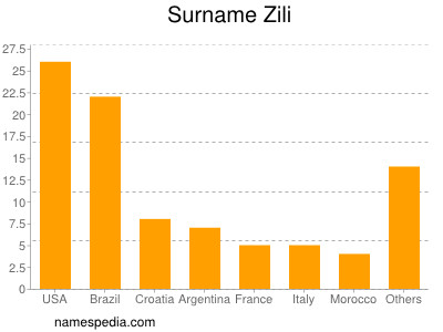 Surname Zili