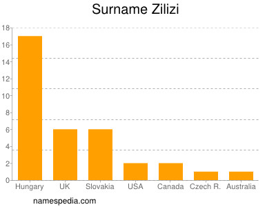 Surname Zilizi