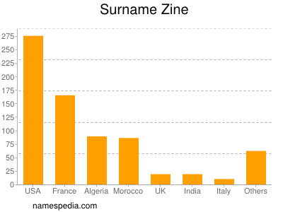Surname Zine