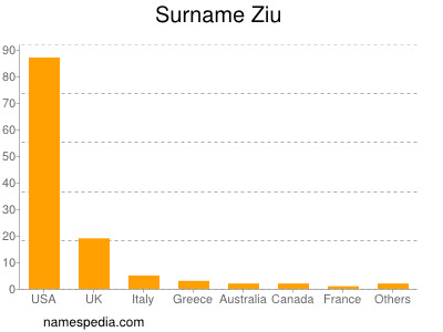 Familiennamen Ziu