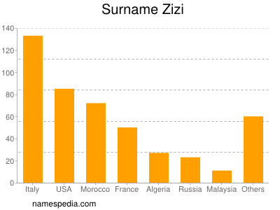 Familiennamen Zizi