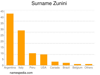Surname Zunini