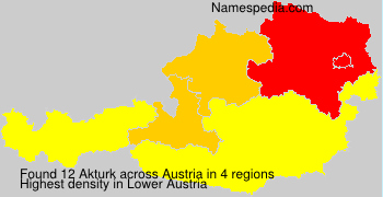 Akturk Akturk