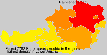 Bauer Bauer