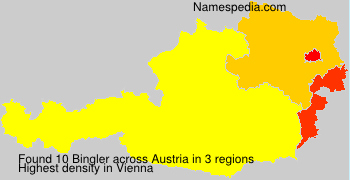Bingler Bingler