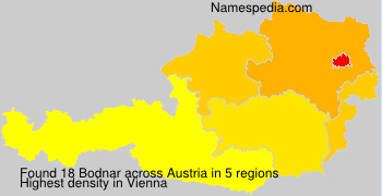 Bodnar Bodnar