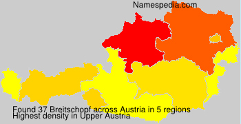 Breitschopf Breitschopf