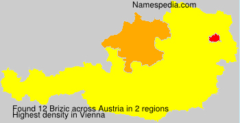 Brizic Brizic