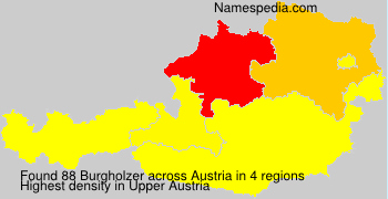 Surname Burgholzer in Austria