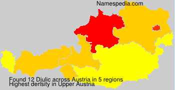 Djulic Djulic