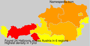 Hafizovic Hafizovic