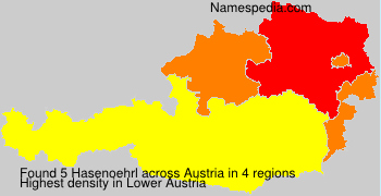Hasenoehrl Hasenoehrl