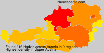 Hodzic Hodzic
