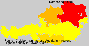 Liebermann Liebermann