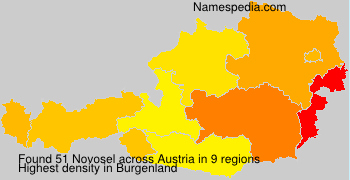 Novosel Novosel