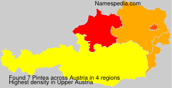Pintea Pintea