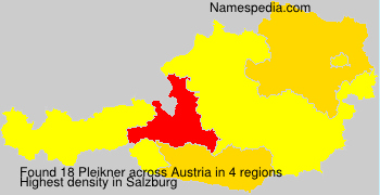Pleikner Pleikner