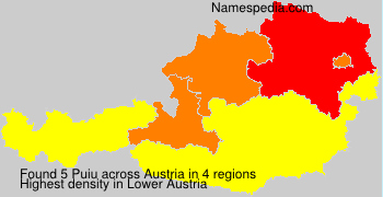 Puiu Puiu