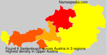 Seidenbusch Seidenbusch