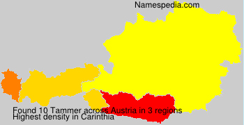 Tammer Tammer