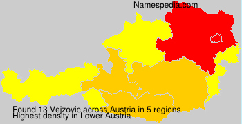 Vejzovic Vejzovic