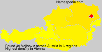 Vojinovic Vojinovic