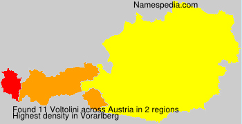 Voltolini Voltolini