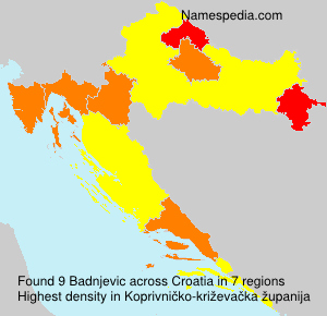 Badnjevic Badnjevic
