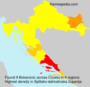 Bokanovic Bokanovic
