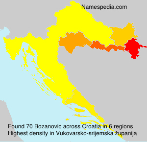 Bozanovic Bozanovic